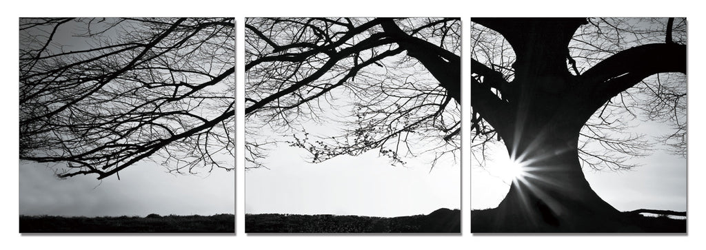 Tree - Black and White - California Wall Art
 - 1