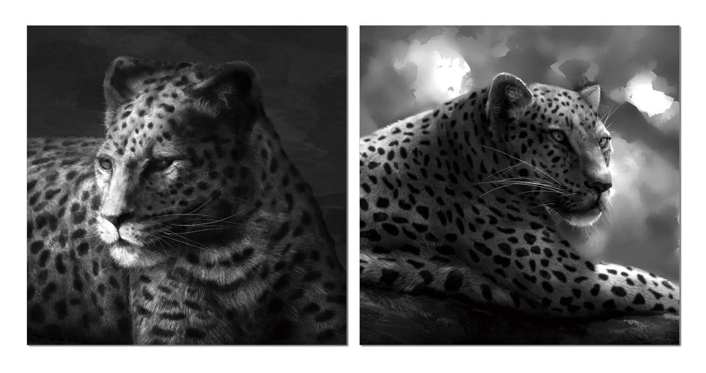 Cheetah Wall Art, Black and White - California Wall Art
