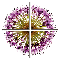 Purple Flower Circle - California Wall Art
 - 1